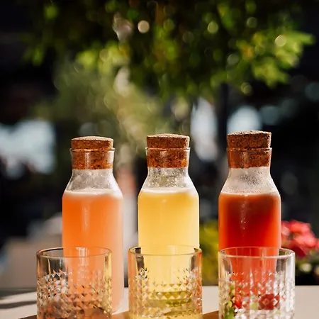 Galija לינה וארוחת בוקר