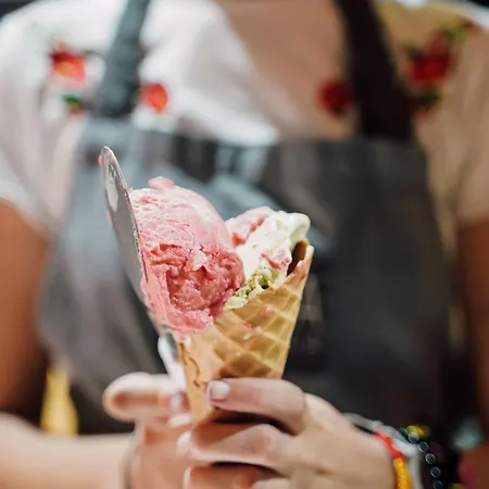 ベッド・アンド・ブレックファスト Galija ツリクヴェニツァ